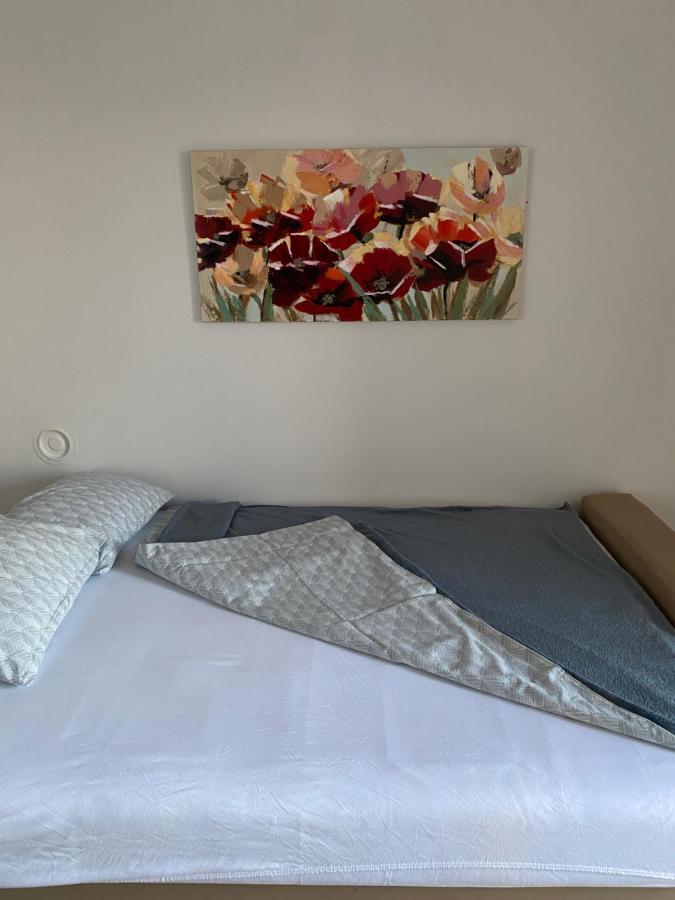 Apartman Colapis- Self Check In, Free Parking, Premium Location! Karlovac Zewnętrze zdjęcie