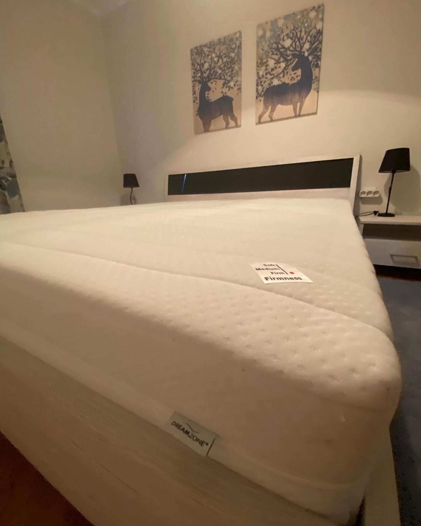 Apartman Colapis- Self Check In, Free Parking, Premium Location! Karlovac Zewnętrze zdjęcie
